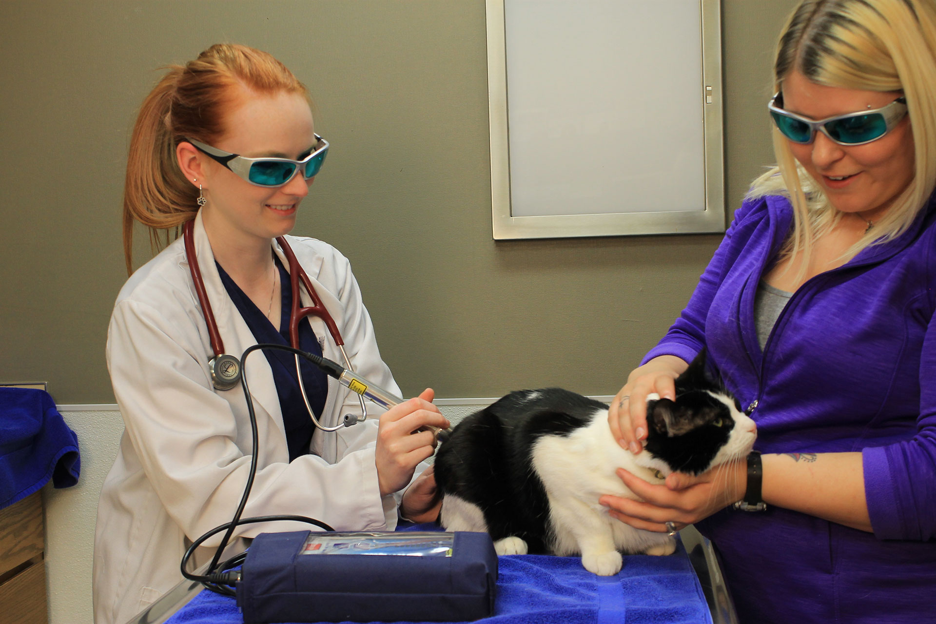 Laser Therapy  Miami, FL